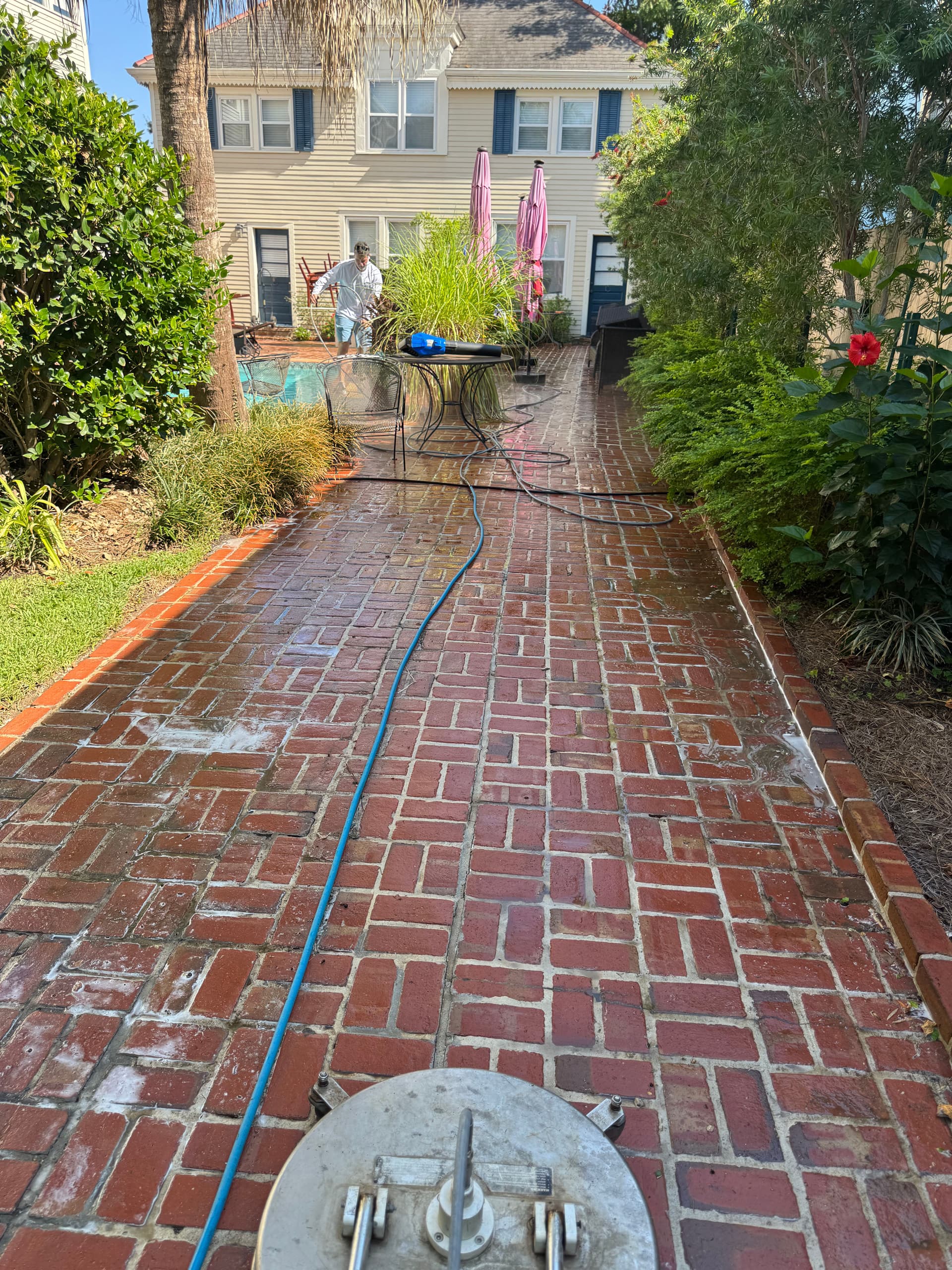 Gallery photos for Transforming Backyards for Special Occasions: Image #1